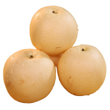 Top Quality Export price Sweet Fresh Chinese Golden Pear Snow Pear